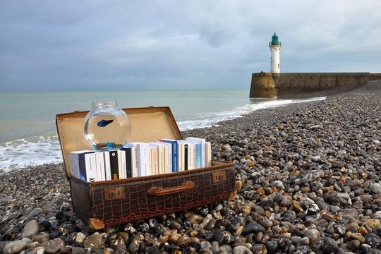 Valise de livres sur plage de galets