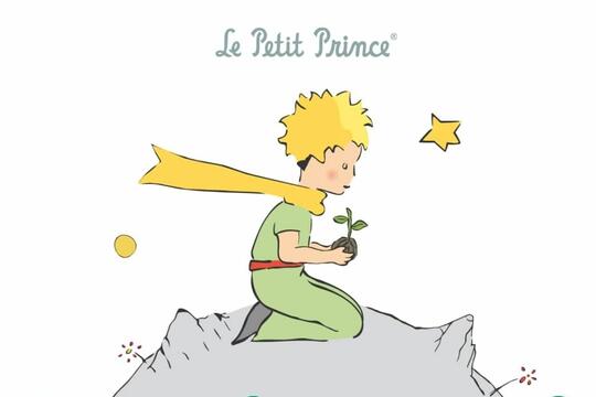 petit prince illustration