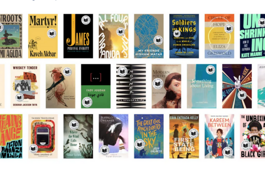 Les finalistes des National Book Awards 2024