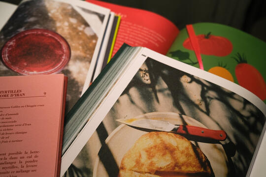 Livres de cuisine  les gouts en couleurs0.jpg