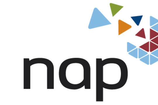 NAP Logo