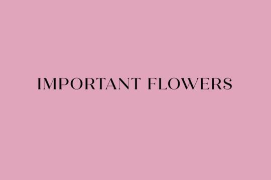 Important Flowers de Sofia Coppola