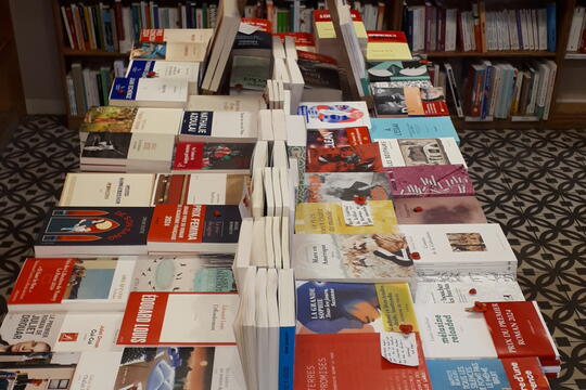En librairies independantes la decroissance gagne du terrain0.jpg