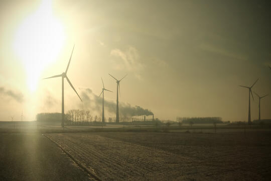 Ecologie