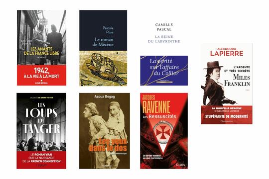 Les sept finalistes du prix Maurice Druon du roman historique 2025