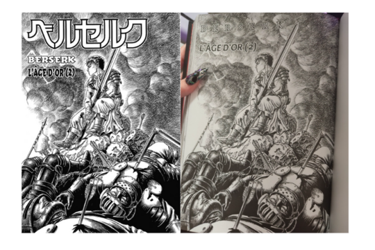 L'erreur découverte par les lecteurs de Berserk