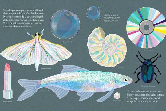 Lea Maupetit Multicolore Un parcours dans le monde de la couleur Gallimard Jeunesse0.jpg