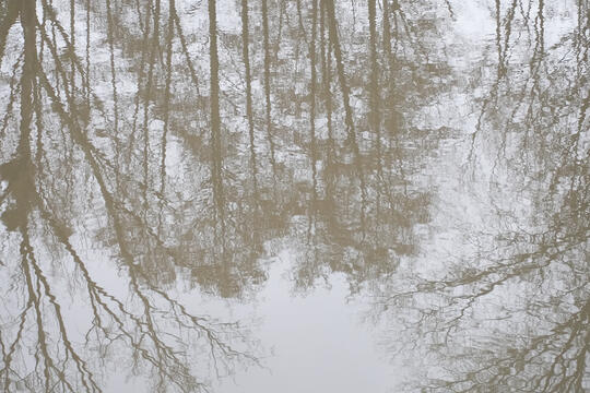 Le marche du livre nature a lheure de la La climatofatigue0.jpg