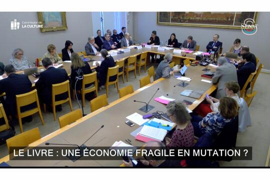 Capture d'écran de la retransmission visioconférence de la table ronde consacrée au thème « Le livre : une économie fragile en mutation ? »