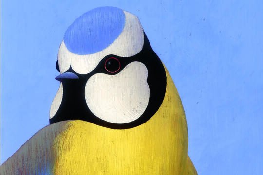 Ronald Curchod Les oiseaux Rouergue0.jpg
