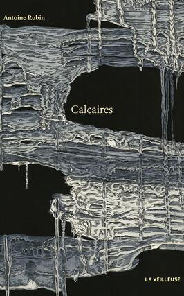 Calcaires_La veilleuse_9782889780266.jpg