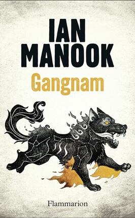Gangnam_Flammarion_9782080468925.jpg