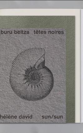 Helene David Tetes NoiresBuru Beltza Une Enqu_Sun Sun editions_9791095233619.jpg