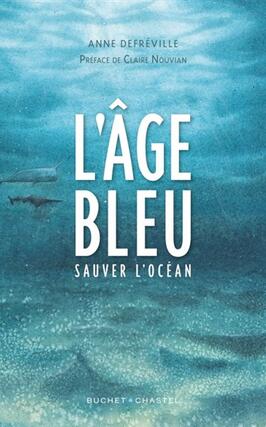 Lage bleu  sauver locean_Buchet Chastel.jpg