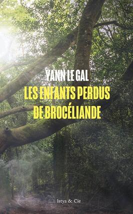 Les enfants perdus de Broceliande_Istya  Cie_9782889442447.jpg