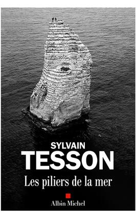 Les piliers de la mer_Albin Michel_9782226491329.jpg