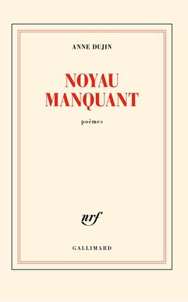 Noyau manquant  poemes_Gallimard_9782073033598.jpg