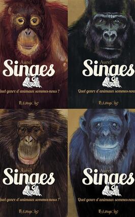 Singes : quel genre d'animaux sommes-nous ?.jpg