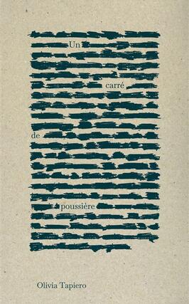 Un carre de poussiere_Editions du commun_9791095630869.jpg