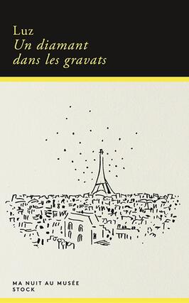 Un diamant dans les gravats_Stock_9782234105546.jpg