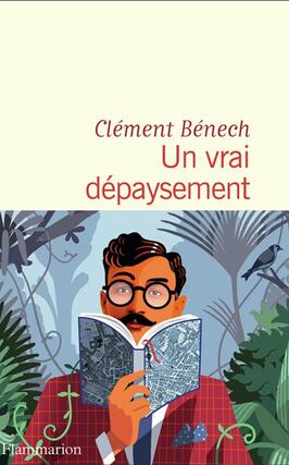 Un vrai depaysement_Flammarion_9782080277336.jpg