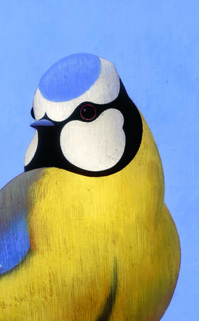 Ronald Curchod Les oiseaux Rouergue0.jpg