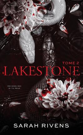 Lakestone Vol 2_HLab_9782017286219.jpg