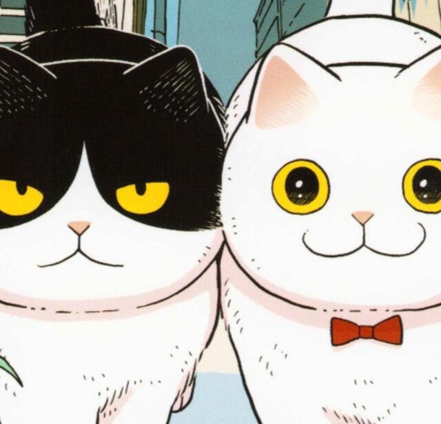 Hachi & Maruru : chats des rues T.1 de Yuri Sonoda