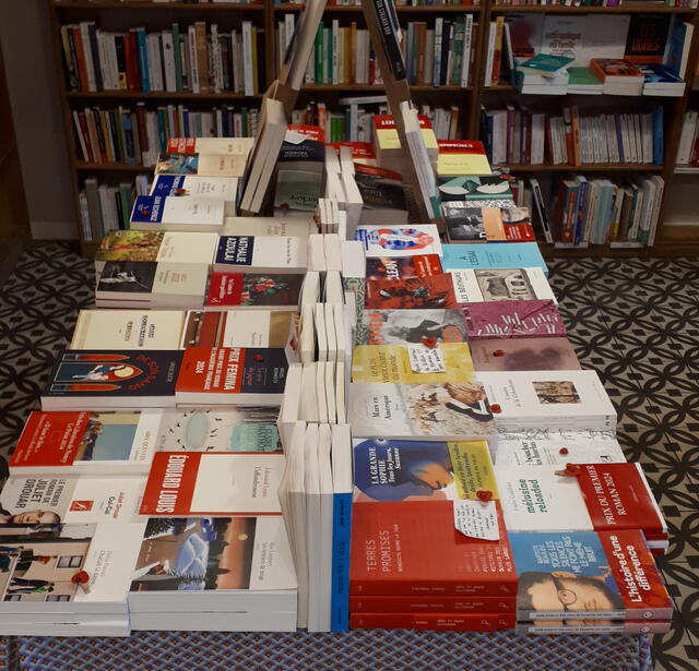 En librairies independantes la decroissance gagne du terrain0.jpg