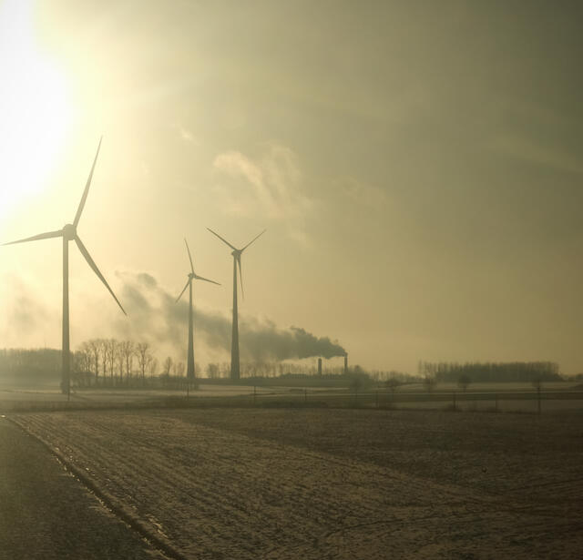 Ecologie