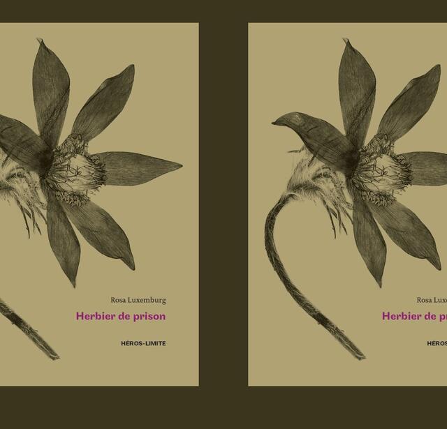 Couverture de l'Herbier de prison de Rosa Luxemburg