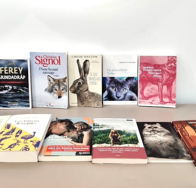 Sélection 2025 prix 30 millions d'amis