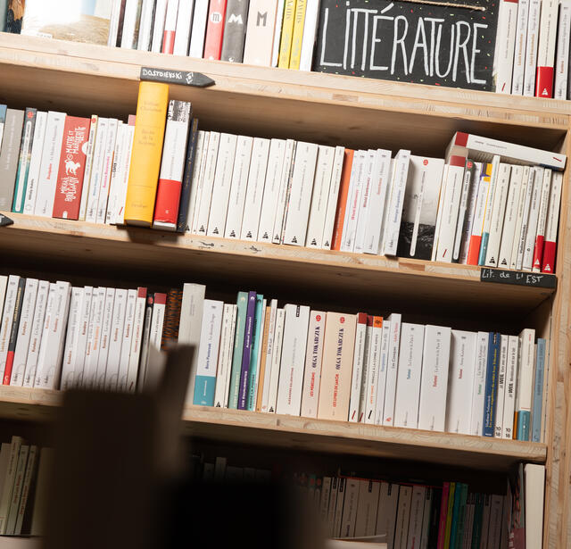 Bilan de la production de livres en 2025  un leger recul0.jpg