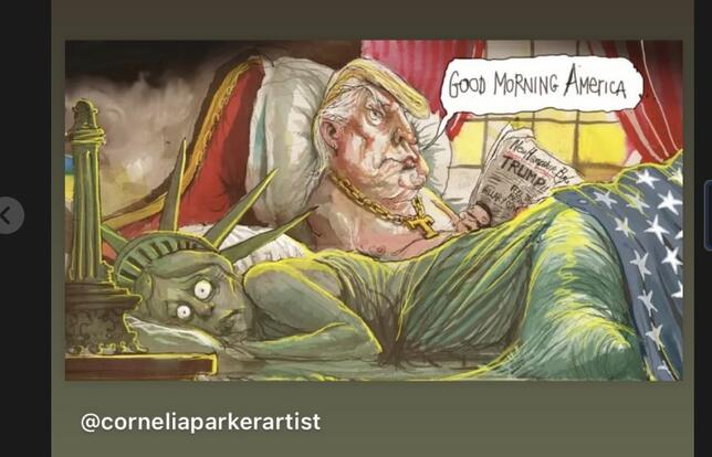 Screen Shot story instagram Penelope Bagieu, illustration de Cornélia Parker