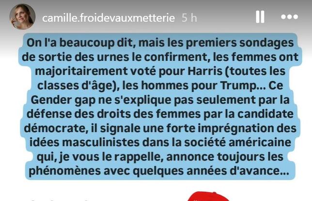 Screen shot story instagram de Camille Froidevaux-Metterie.jpg
