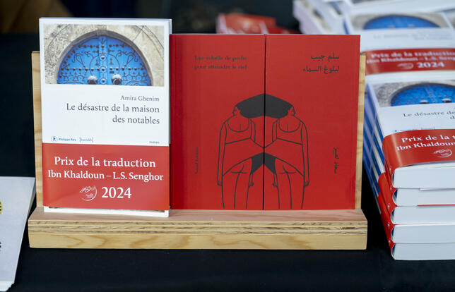 Couverture du roman Le désastre de la maison des notables de Amira Ghenim traduit par Souad Labbize