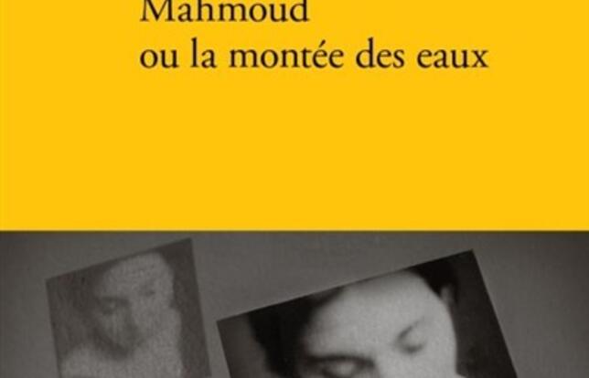 Mahmoud ou la montée des eaux de Antoine Wauters