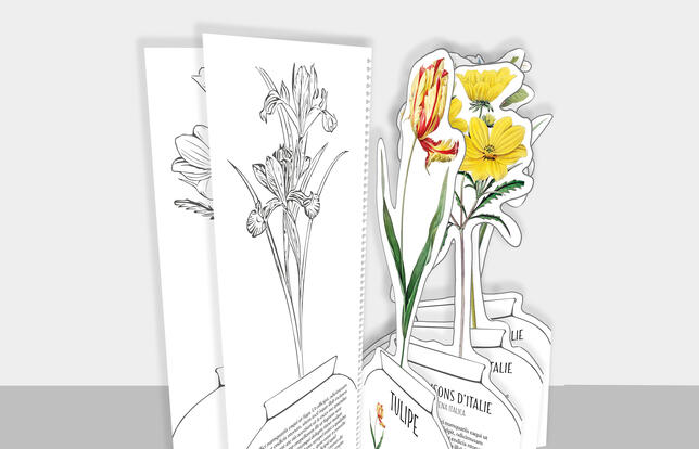 Le bouquet à colorier visuel 3D (parution mi-mai)