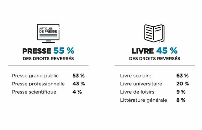 Rapport 2025 CFC
