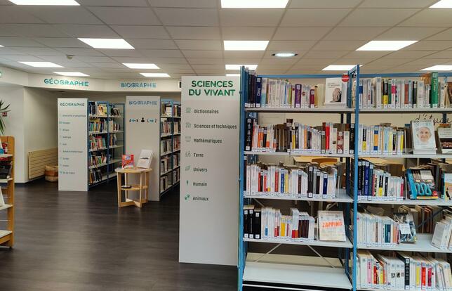 Classification Dewey en debat quand les bibliotheques sadaptent4.jpg