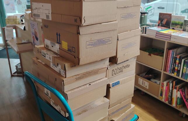 Vis ma vie de libraire le recit de David Meulemans fondateur des editions Aux Forges de Vulcain1.jpg