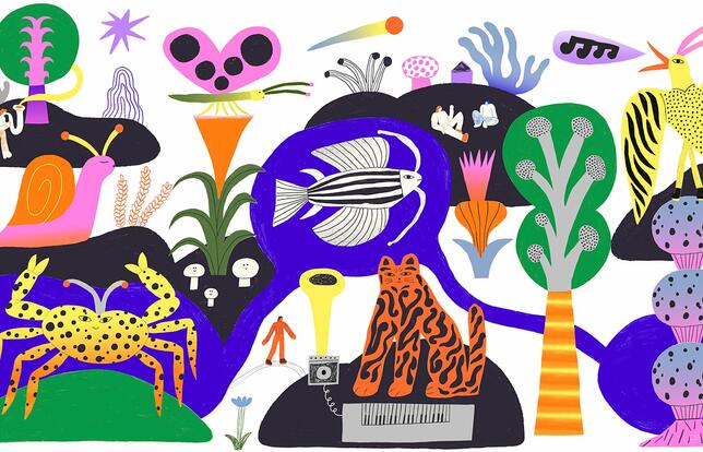 L'illustration pour la 5ème édition, symbolisé par le thème « peuples des mers, des terres et des cieux »