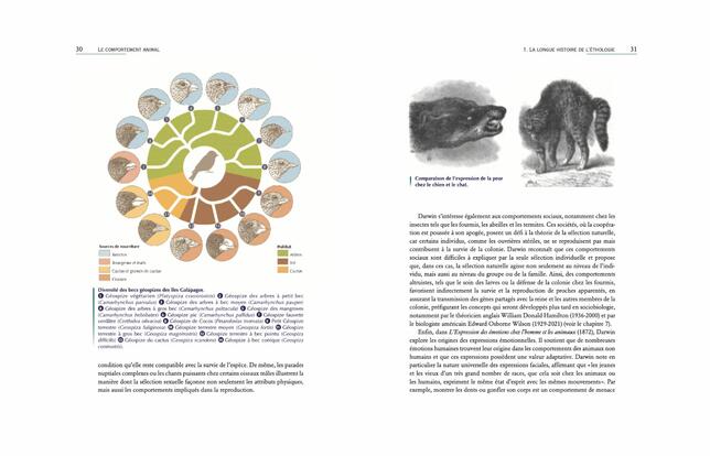 Deux pages de l'ouvrage Le Comportement animal. Éthologie des vertébrés et des invertébrés, à paraître en octobre chez Belin