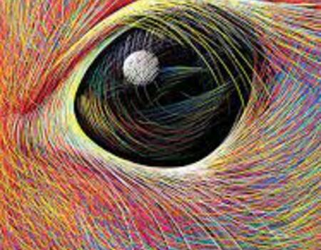 Isabelle Simler, Les idées sont de drôles de bestioles, Editions courtes et longues