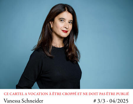 Vanessa Schneider La peau dure Flammarion0.jpg