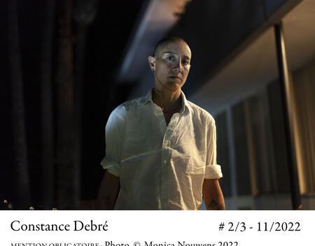 Constance Debre la loi du genre0.jpg