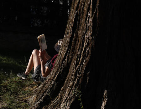 Une lectrice au pied d'un arbre