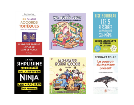 Les 6 premiers du classement des meilleures ventes du rayon Pratique en 2025