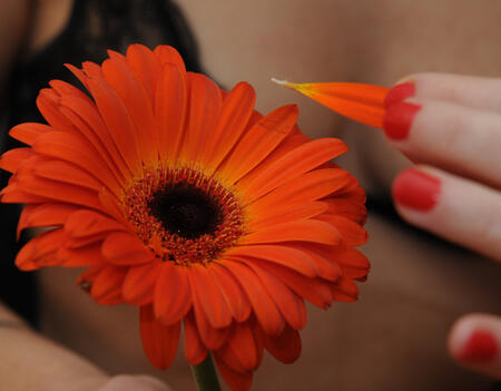 Image d'illustration pour la Saint Valentin