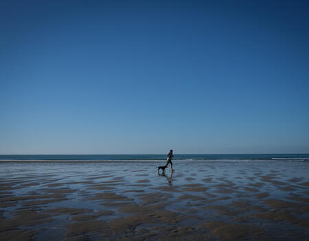 Les editeurs de sante   Desormais cest ChatGPT que nous craignons0.jpg
